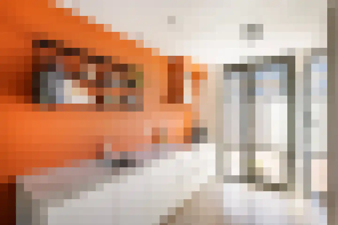 Rosariumstraat 9 Zwolle thumbnail 12