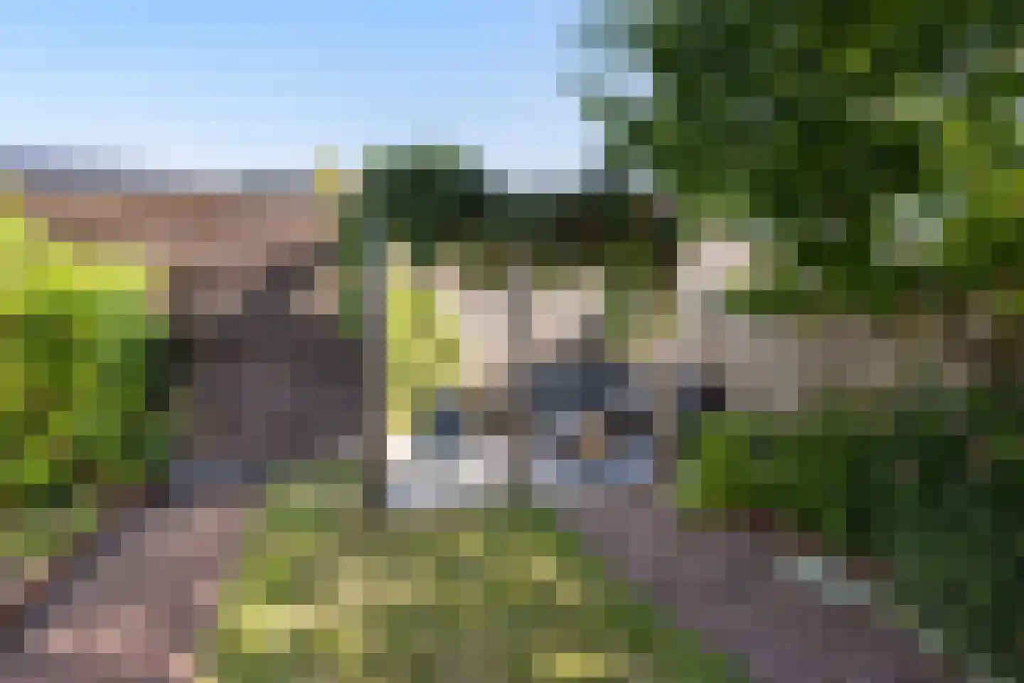 Rosariumstraat 9 Zwolle thumbnail 14