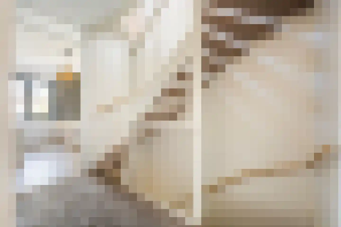 Rosariumstraat 9 Zwolle thumbnail 17