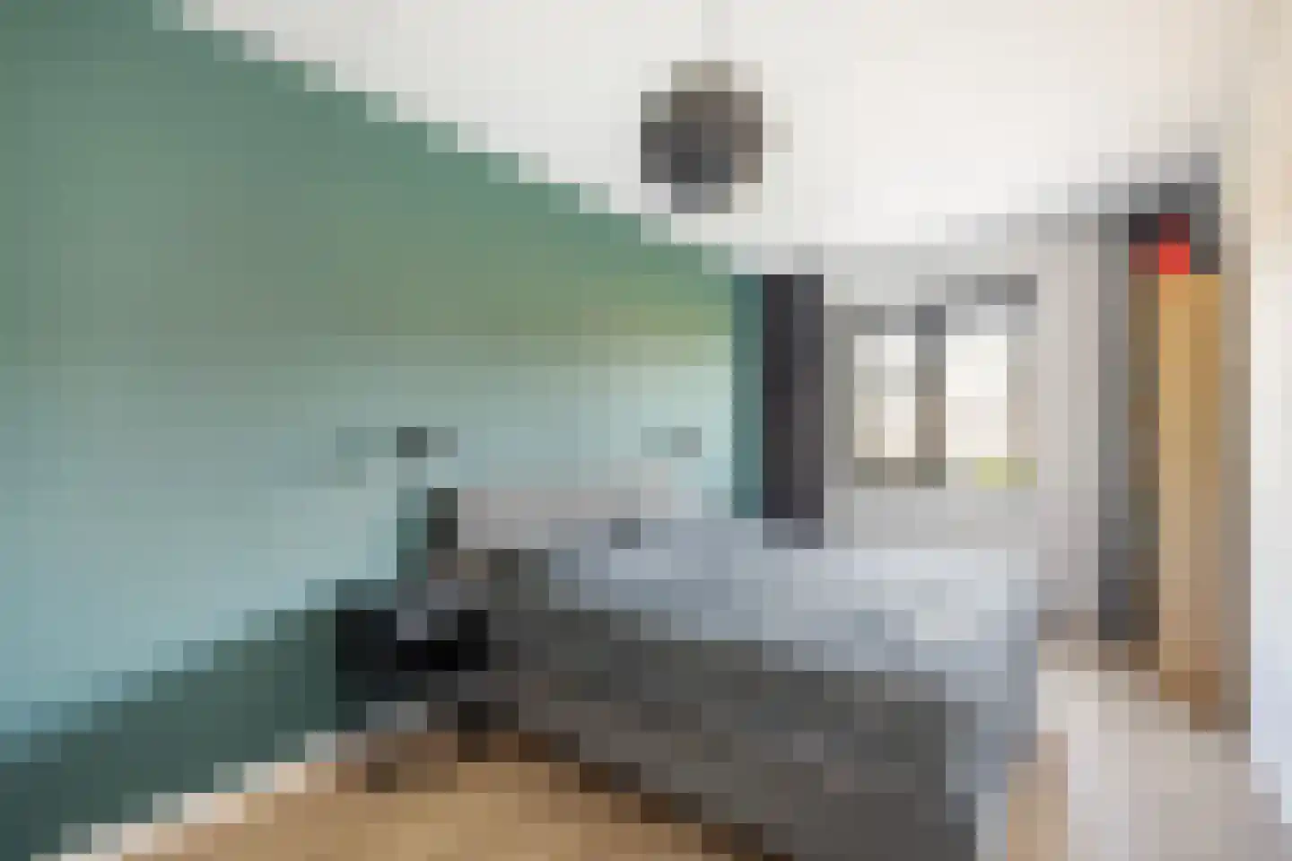 Rosariumstraat 9 Zwolle thumbnail 18