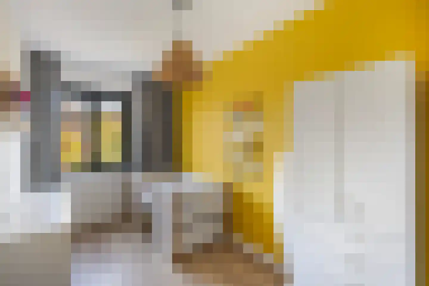 Rosariumstraat 9 Zwolle thumbnail 20