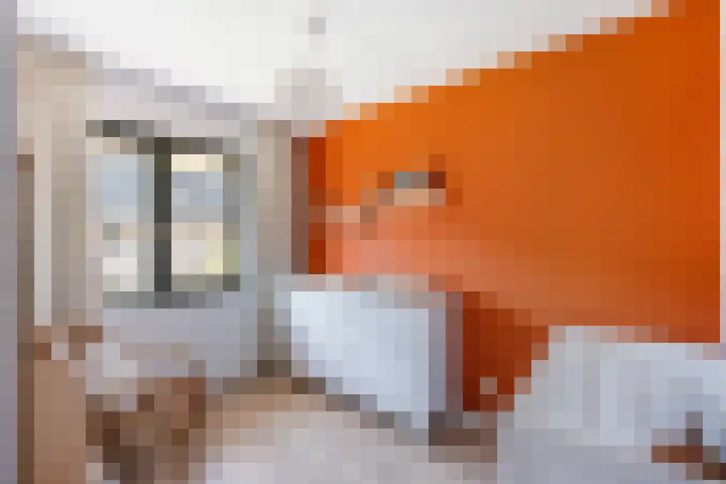 Rosariumstraat 9 Zwolle thumbnail 22