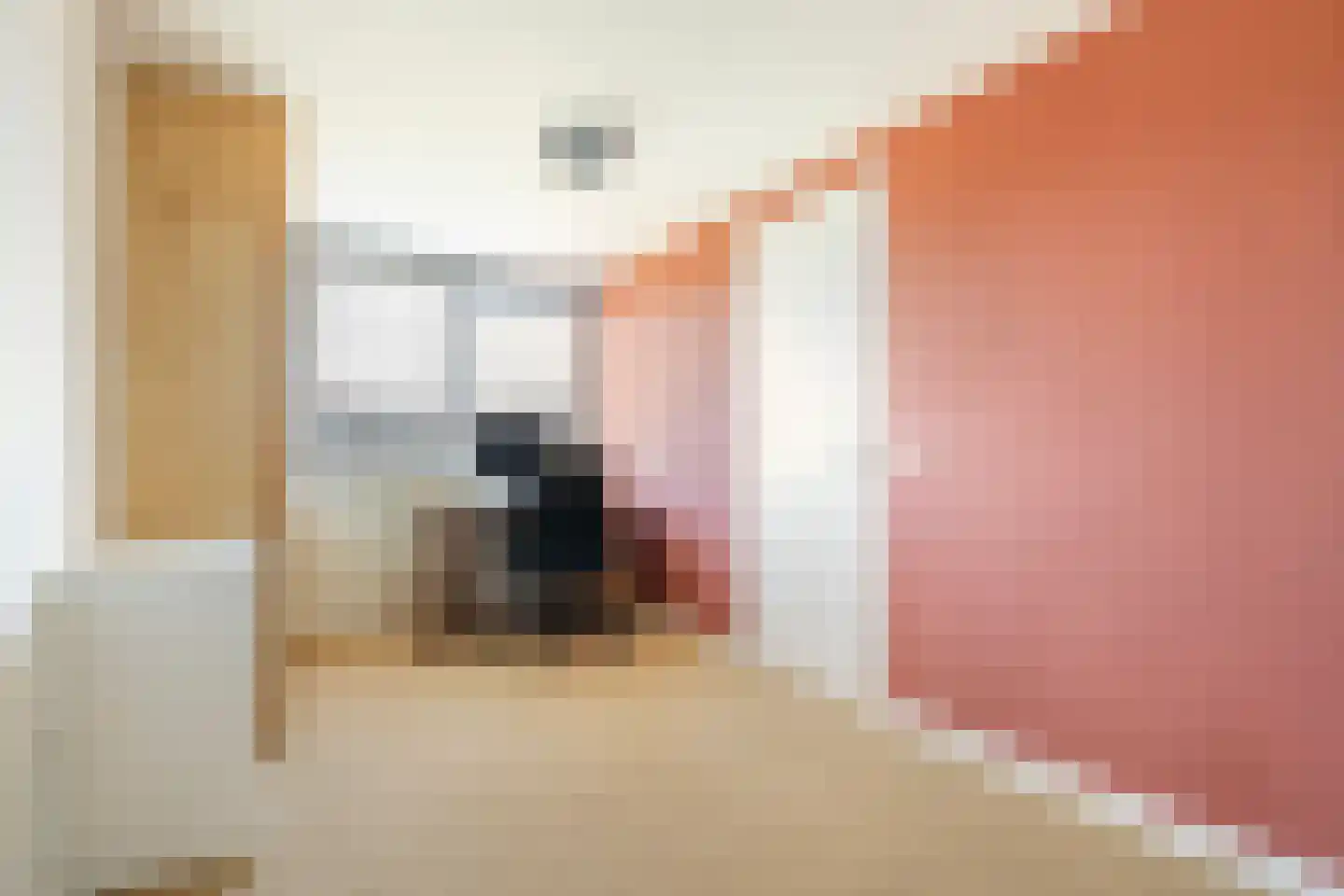 Rosariumstraat 9 Zwolle thumbnail 26