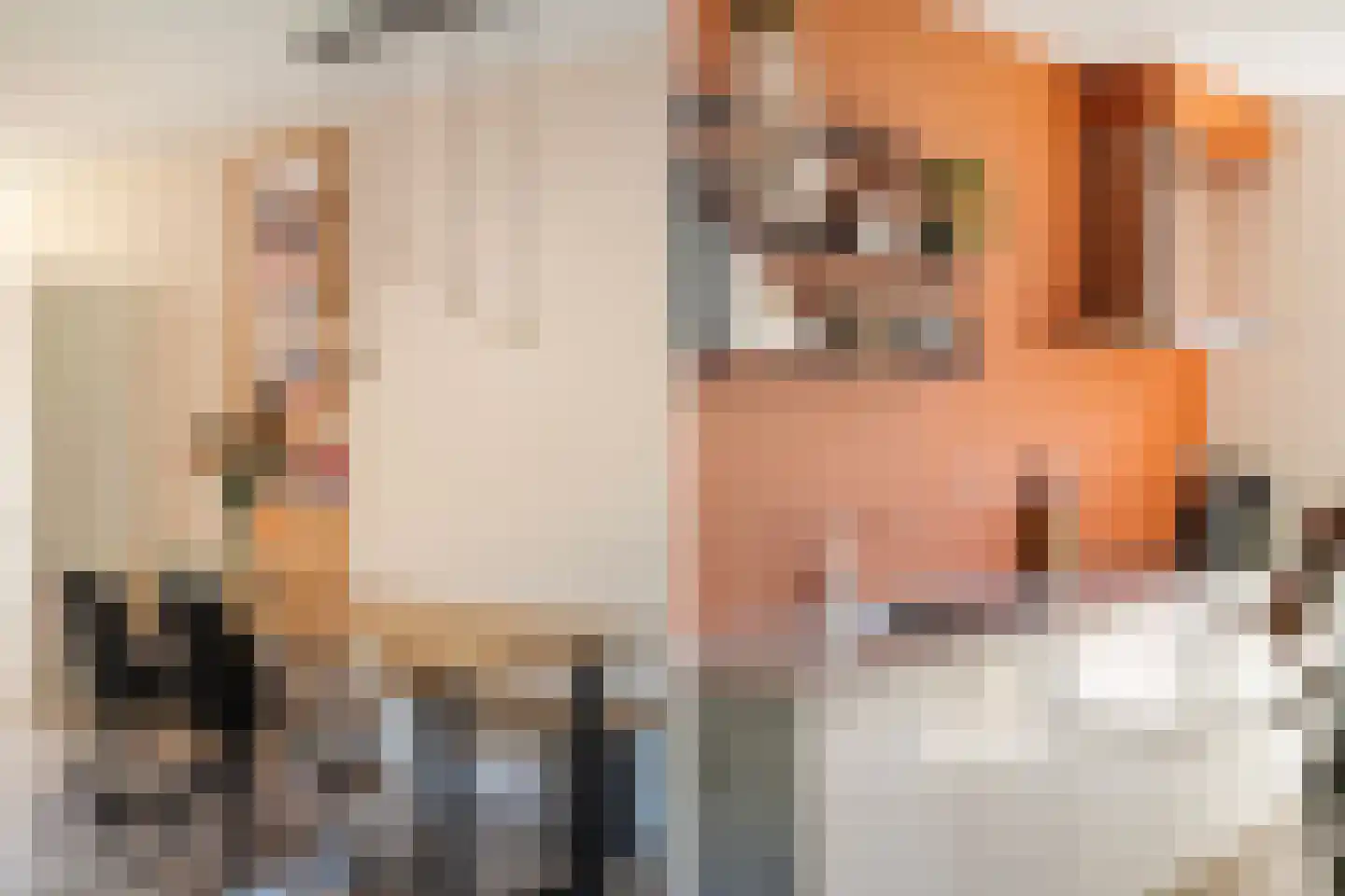 Rosariumstraat 9 Zwolle thumbnail 4
