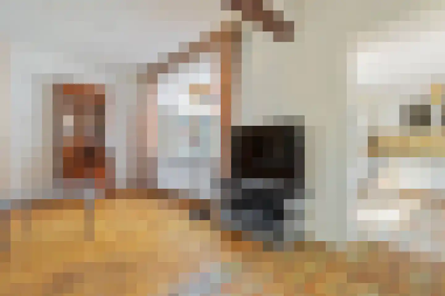 Rosastraat 20 Beek thumbnail 18