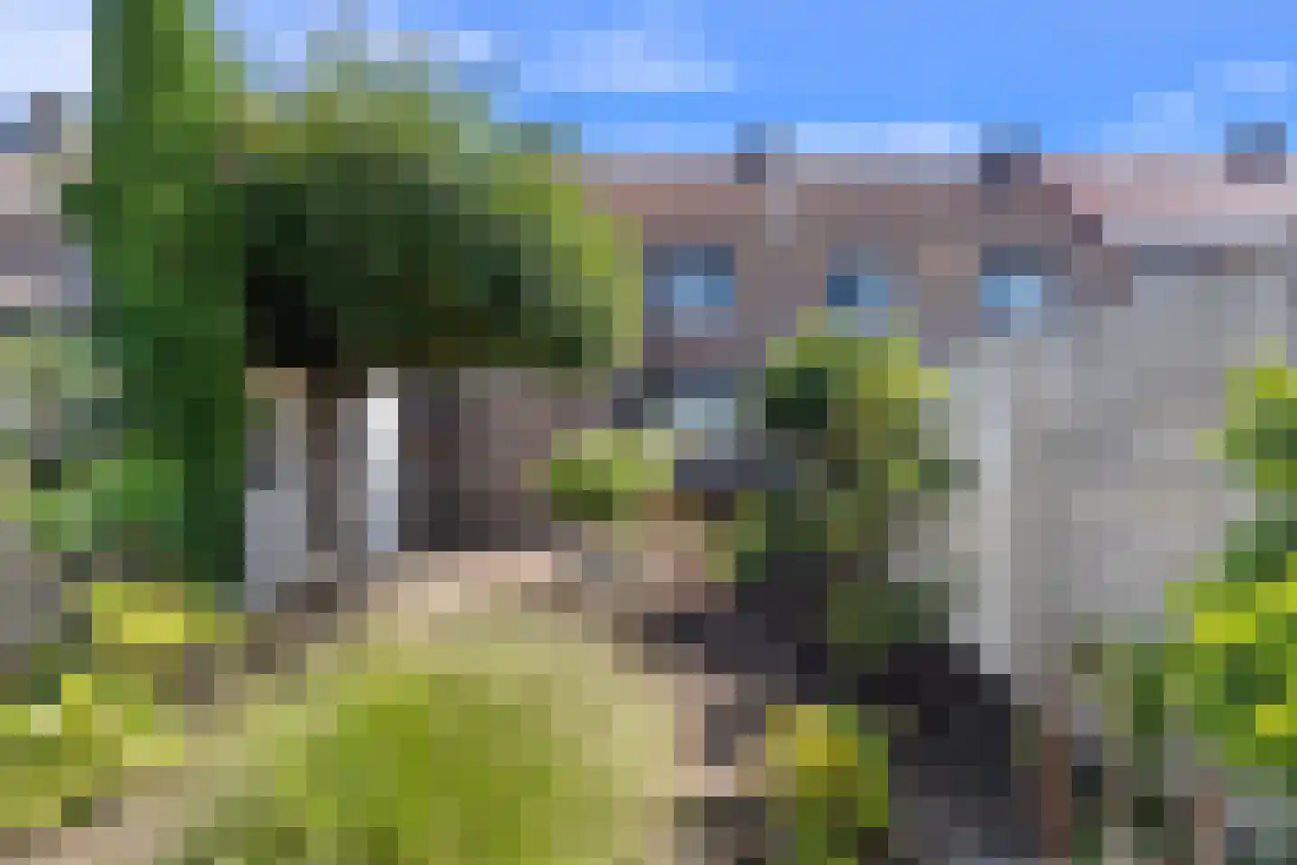 Rosastraat 20 Beek thumbnail 24