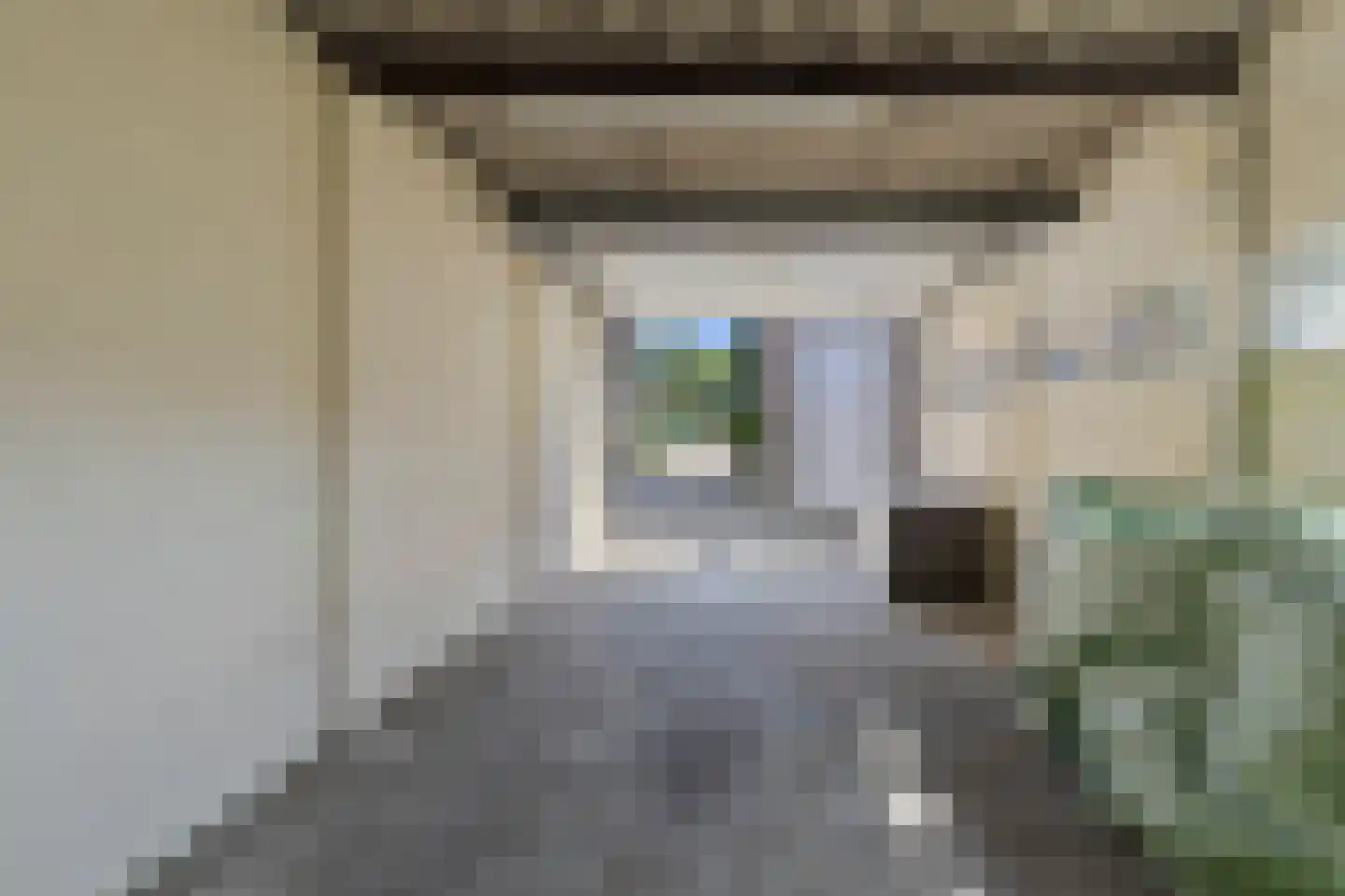 Rosastraat 20 Beek thumbnail 28