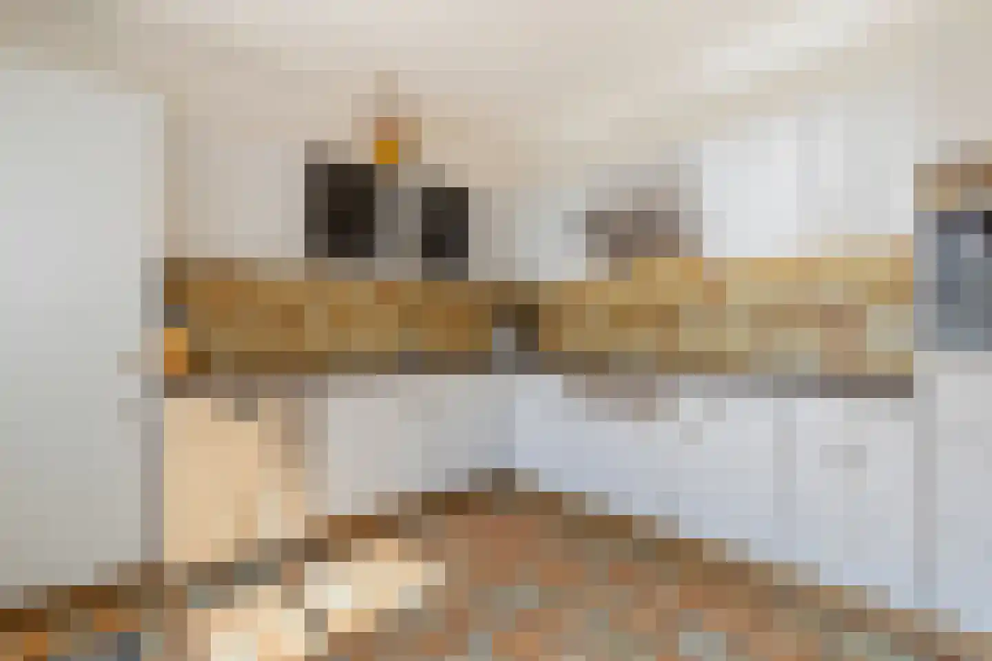 Rosastraat 20 Beek thumbnail 4