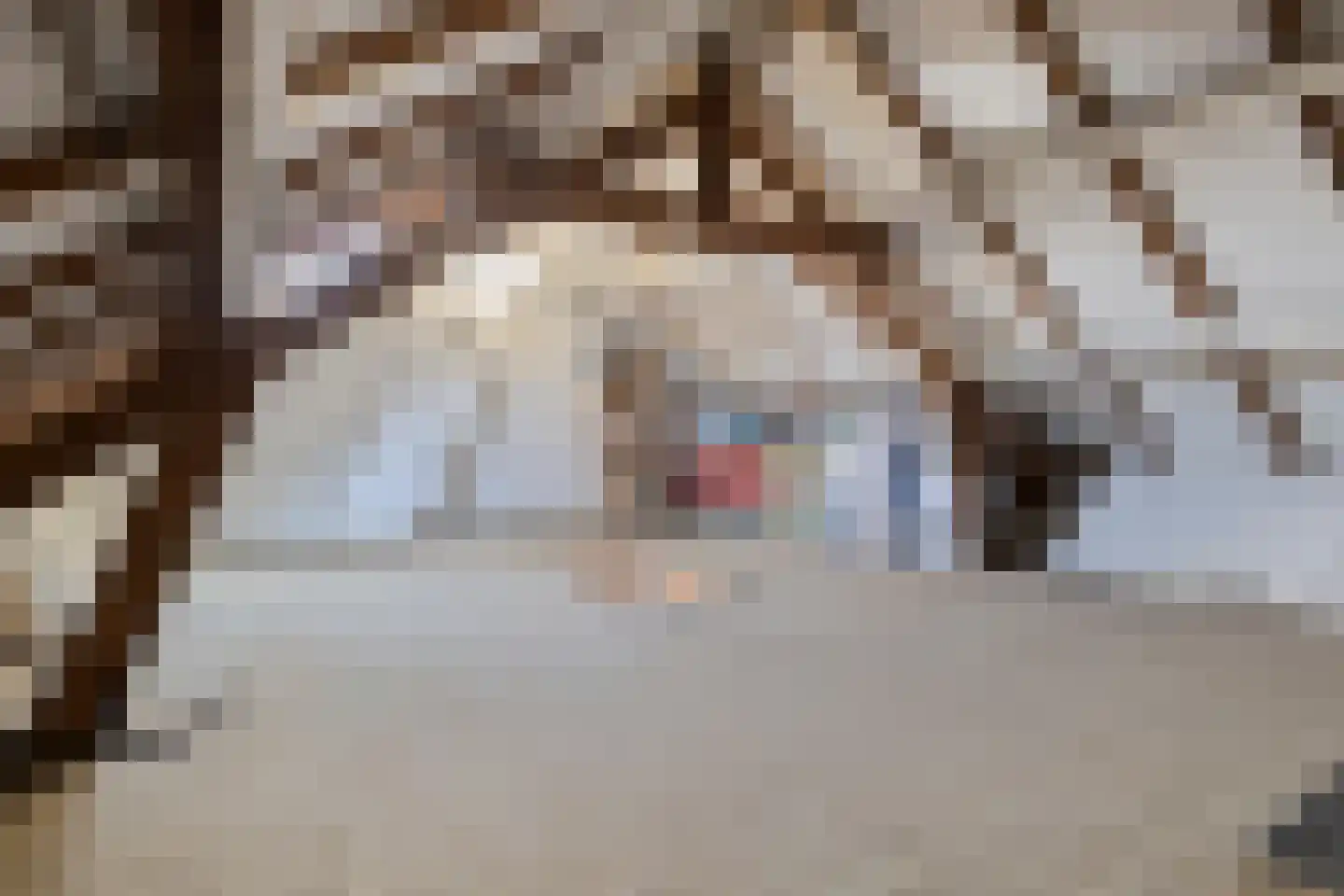 Rosastraat 20 Beek thumbnail 42
