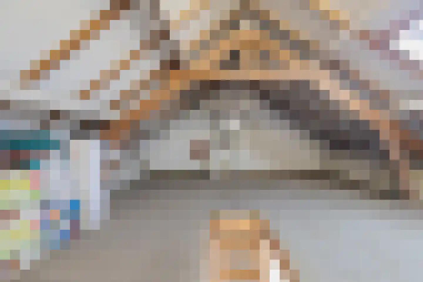 Rosastraat 20 Beek thumbnail 43