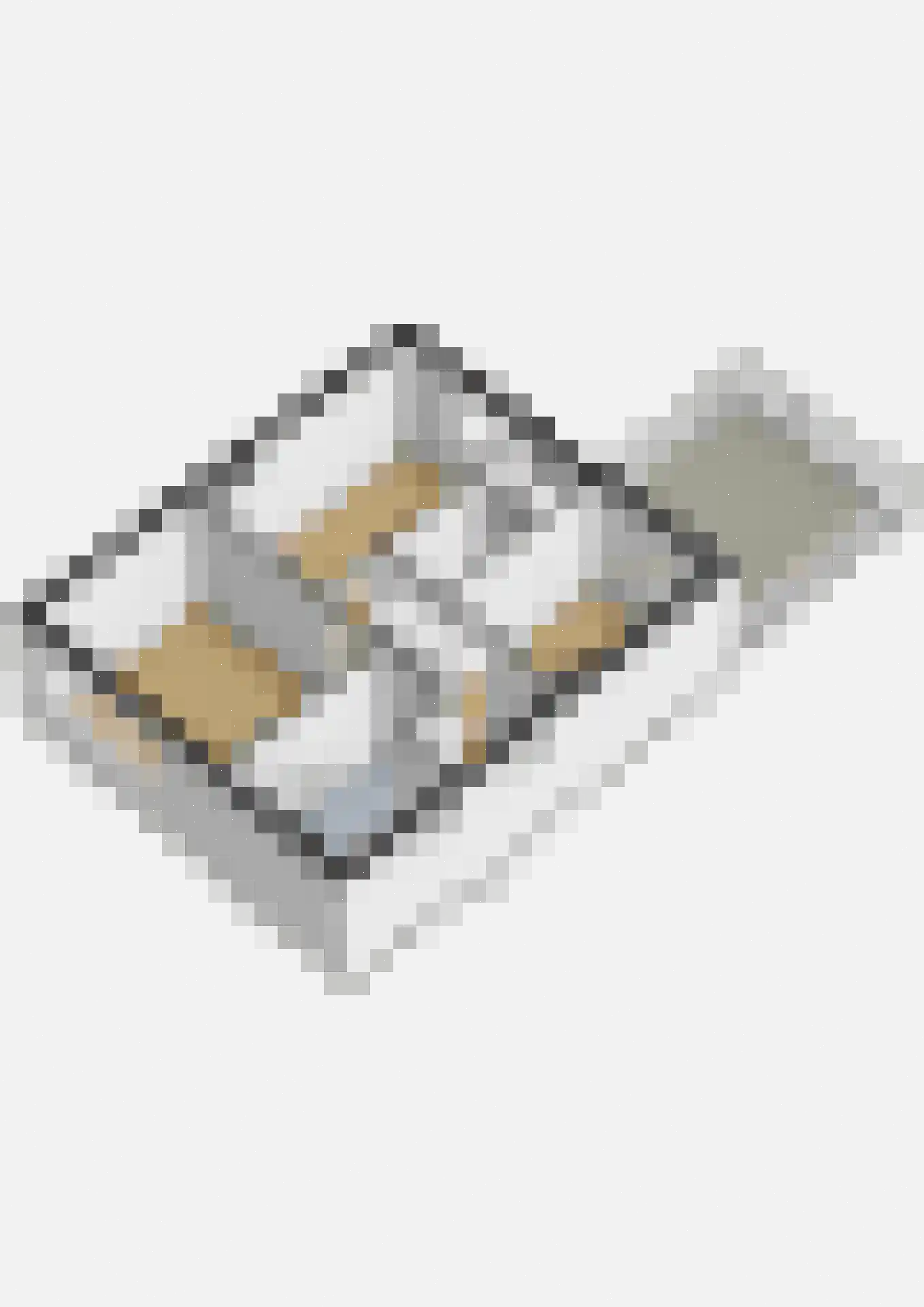 Rosastraat 20 Beek thumbnail 48