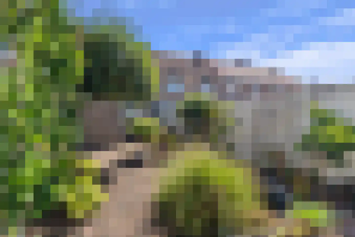 Rosastraat 20 Beek thumbnail 6