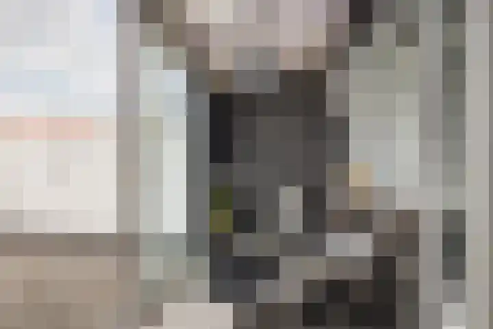 Rosastraat 22 Beek thumbnail 12