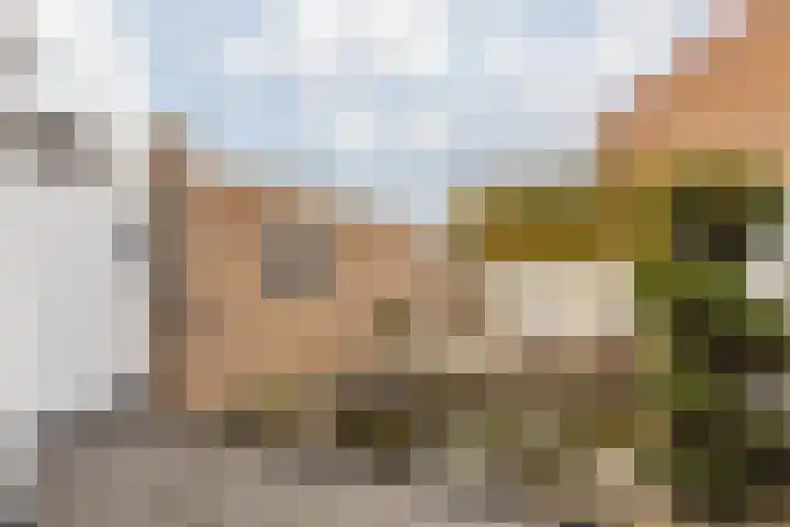 Rosastraat 22 Beek thumbnail 36