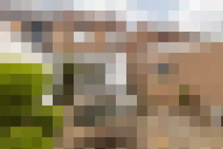 Rosastraat 22 Beek thumbnail 38