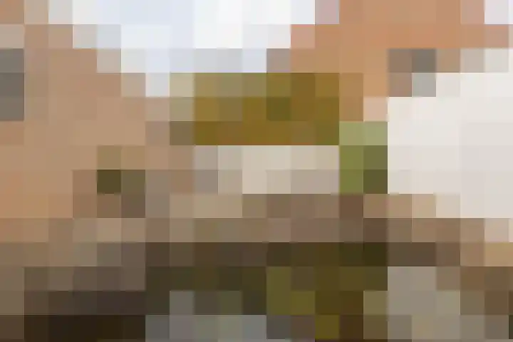 Rosastraat 22 Beek thumbnail 39