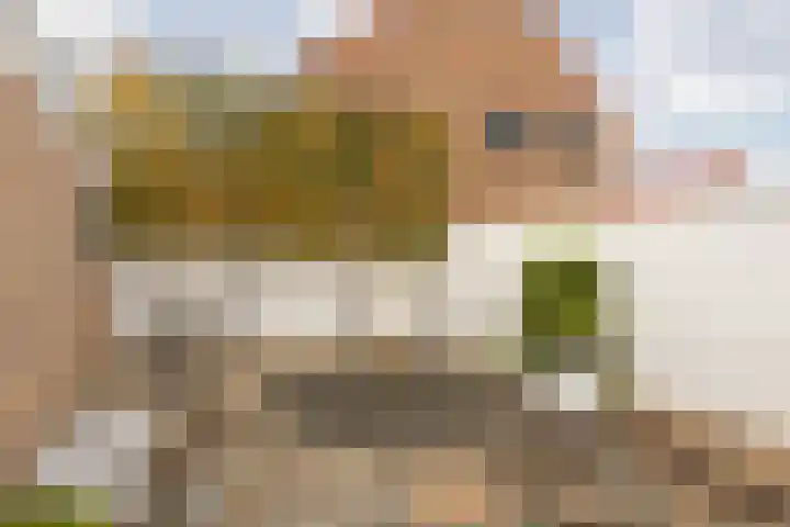 Rosastraat 22 Beek thumbnail 40