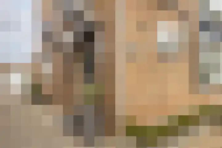 Rosastraat 22 Beek thumbnail 9
