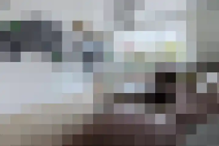Rosastraat 26 Beek thumbnail 11