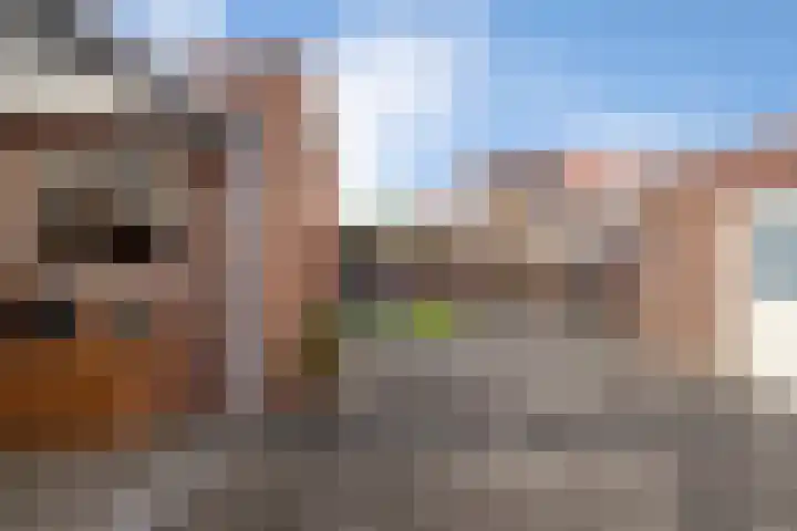 Rosastraat 26 Beek thumbnail 38