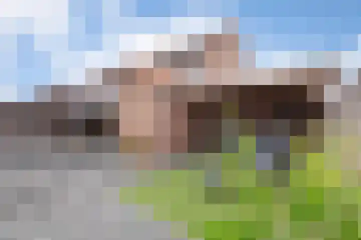 Rosastraat 26 Beek thumbnail 41