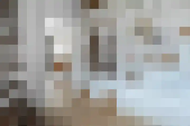 Rosastraat 26 Beek thumbnail 5