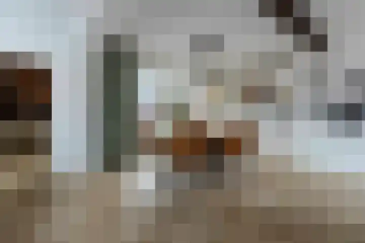 Rosastraat 26 Beek thumbnail 7