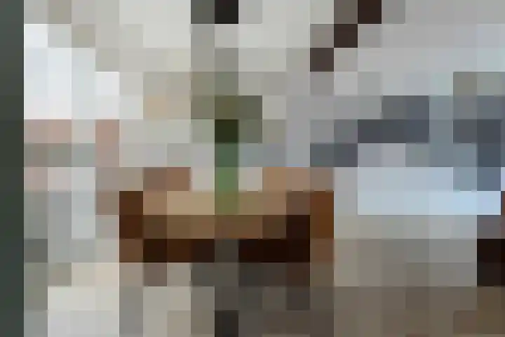 Rosastraat 26 Beek thumbnail 8