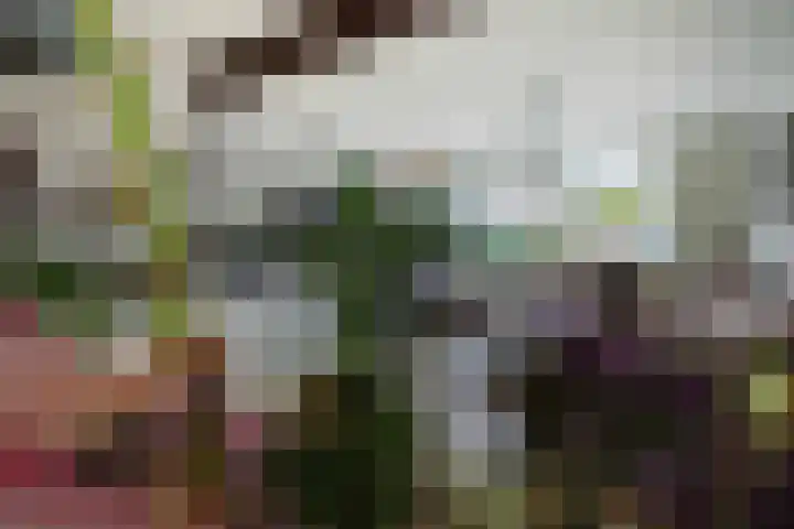 Rosastraat 26 Beek thumbnail 9