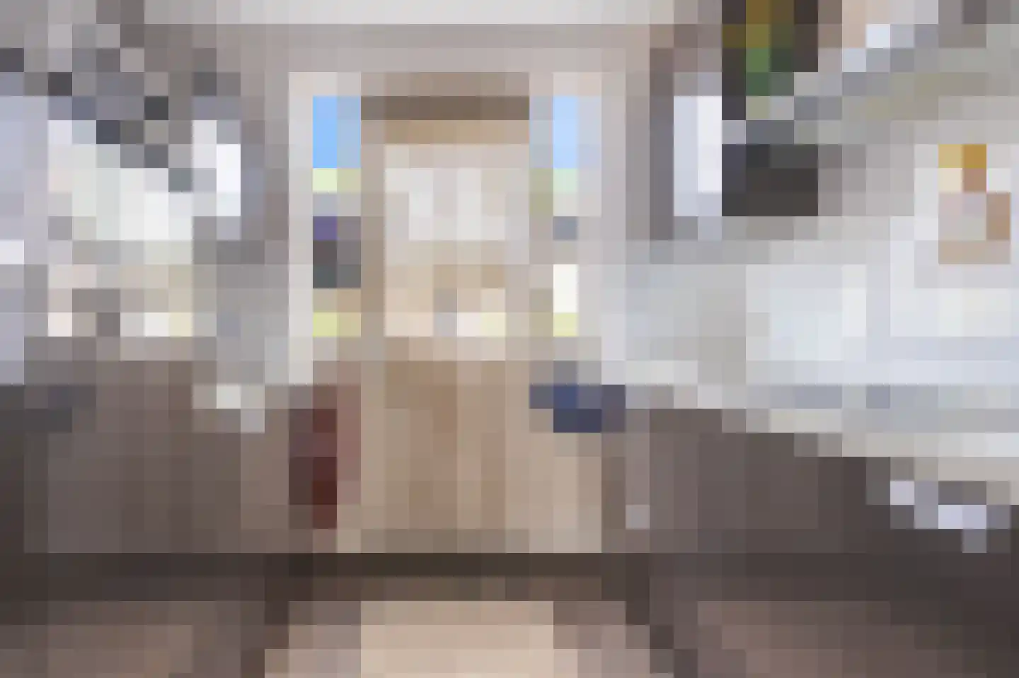 Rose Luisantestraat 6 Andijk thumbnail 15