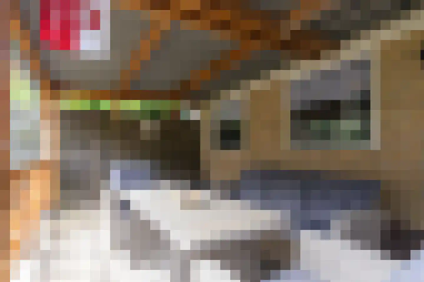 Rose Luisantestraat 6 Andijk thumbnail 22