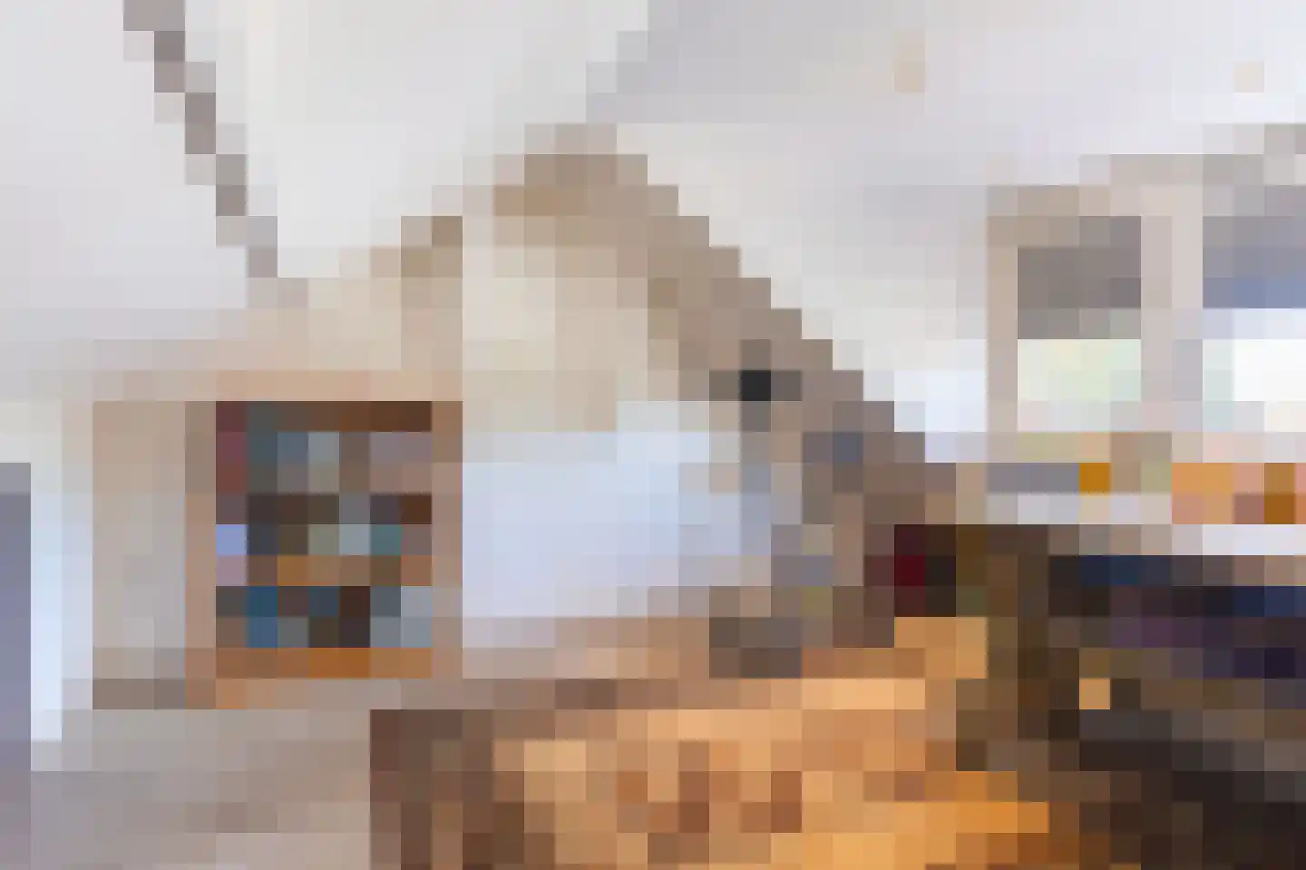 Rose Luisantestraat 6 Andijk thumbnail 37