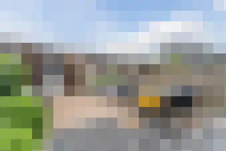 Rose-Mariepad 8 Utrecht thumbnail 13