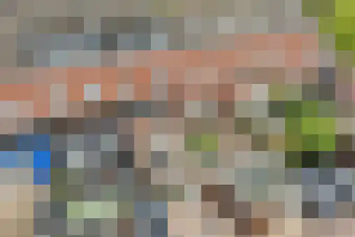 Rose-Mariepad 8 Utrecht thumbnail 19