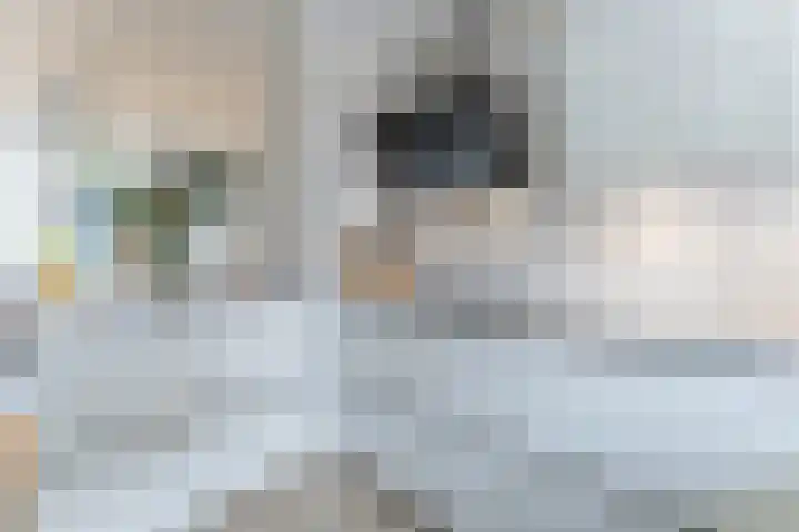 Rose-Mariepad 8 Utrecht thumbnail 32