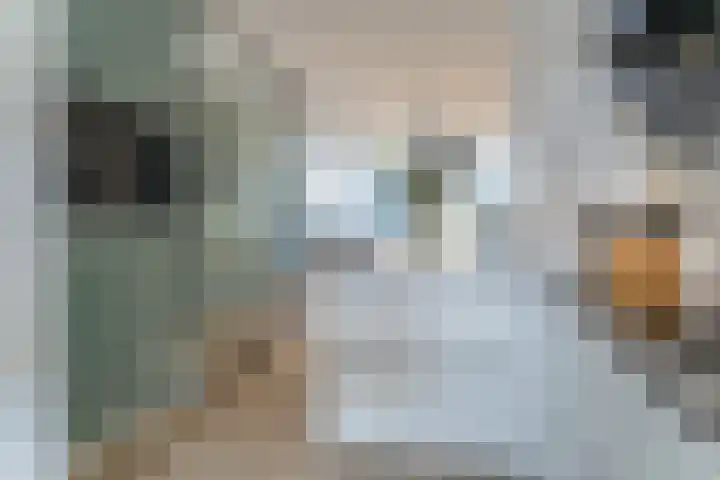 Rose-Mariepad 8 Utrecht thumbnail 33