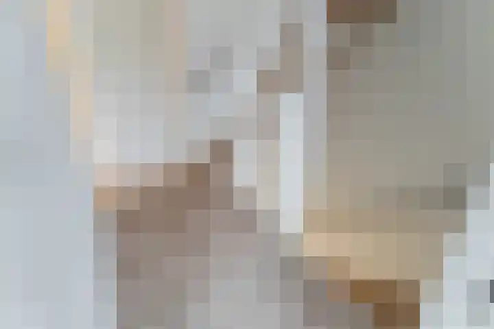 Rose-Mariepad 8 Utrecht thumbnail 34