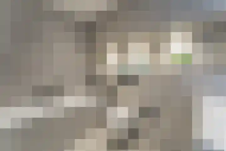 Rose-Mariepad 8 Utrecht thumbnail 38