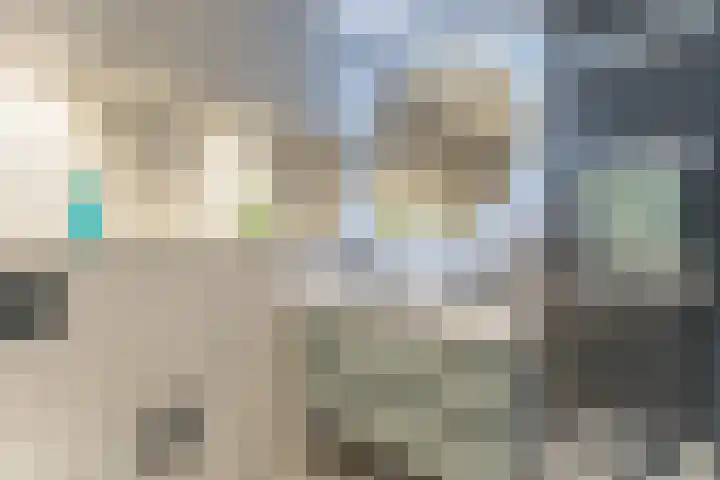 Rose-Mariepad 8 Utrecht thumbnail 39
