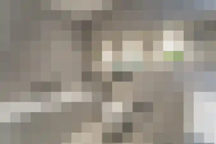 Rose-Mariepad 8 Utrecht thumbnail 4