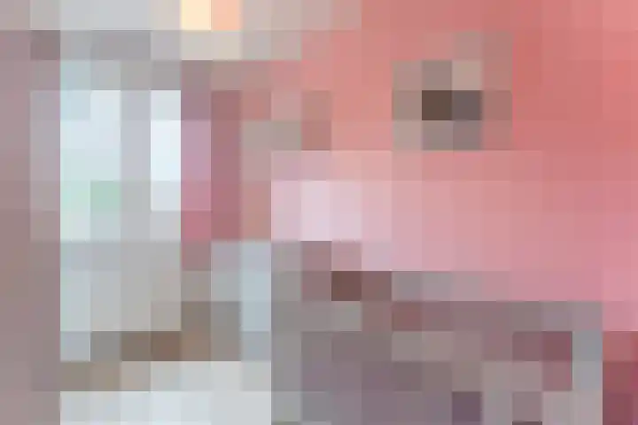 Rose-Mariepad 8 Utrecht thumbnail 44