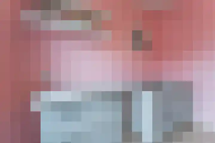 Rose-Mariepad 8 Utrecht thumbnail 45
