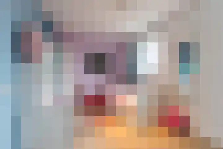 Rose-Mariepad 8 Utrecht thumbnail 50