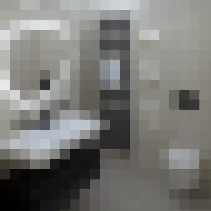 Rose-Mariepad 8 Utrecht thumbnail 56