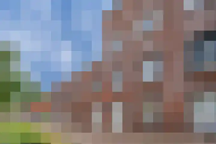 Rose-Mariepad 8 Utrecht thumbnail 60