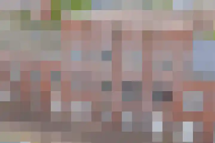 Rose-Mariepad 8 Utrecht thumbnail 61