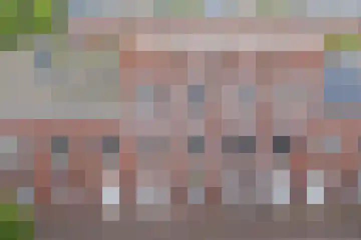 Rose-Mariepad 8 Utrecht thumbnail 62
