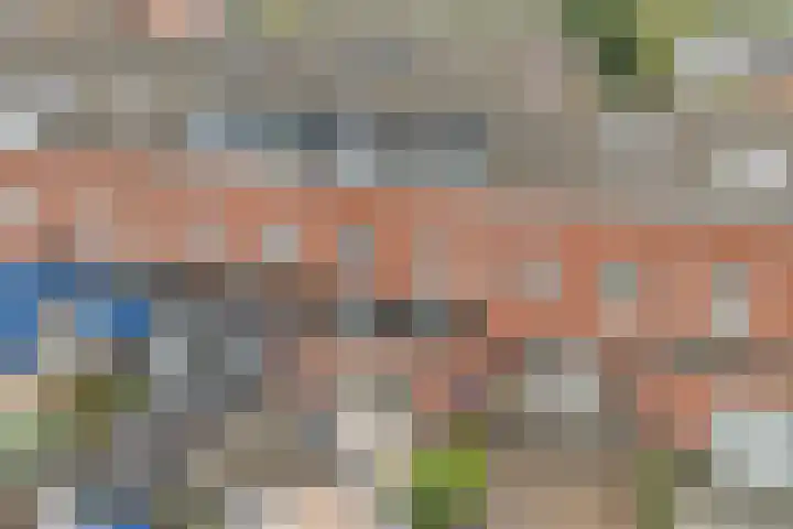 Rose-Mariepad 8 Utrecht thumbnail 65