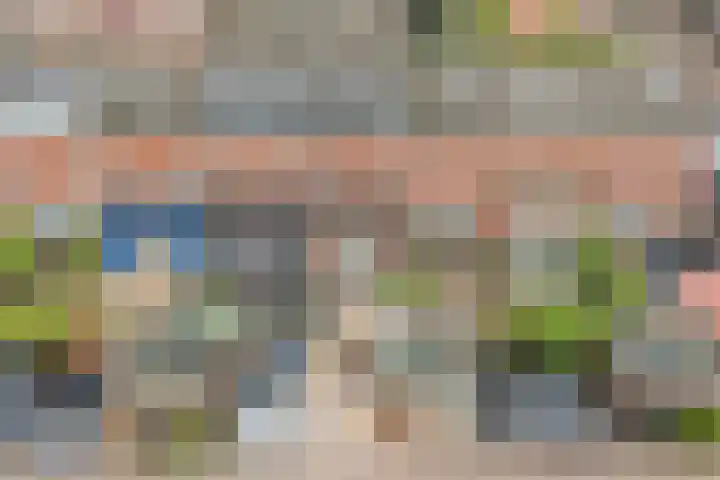 Rose-Mariepad 8 Utrecht thumbnail 66