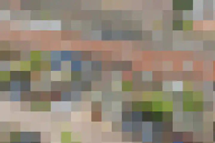 Rose-Mariepad 8 Utrecht thumbnail 67